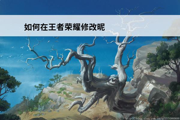 如何在王者荣耀修改昵称为空白名字(王者空白名字修改)
