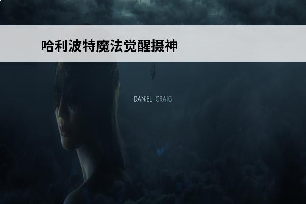 哈利波特魔法觉醒摄神