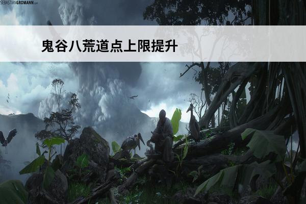 鬼谷八荒道点上限提升