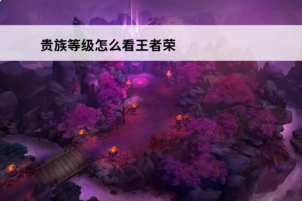 贵族等级怎么看王者荣