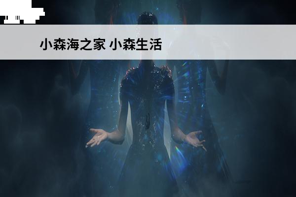 小森海之家 小森生活海之家无法前往怎么去_小森生活海之家在哪里位置_小森生活海之家怎么到达