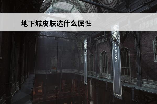 地下城皮肤选什么属性 地下城勇士弹药时装应该选什么属性