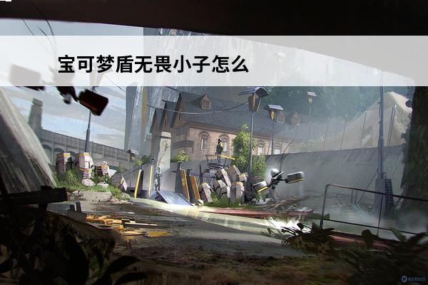 宝可梦盾无畏小子怎么