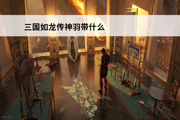 三国如龙传神羽带什么武将 三国如龙传神羽怎么加点介绍_三国如龙传神羽怎么加点是什么