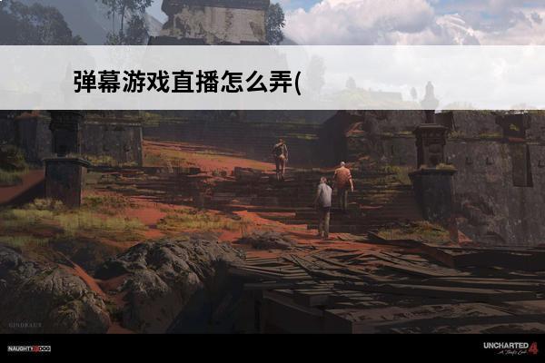弹幕游戏直播怎么弄(直播弹幕模组)