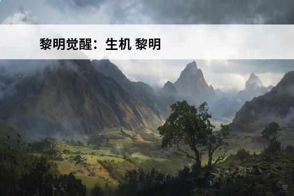 黎明觉醒：生机 黎明