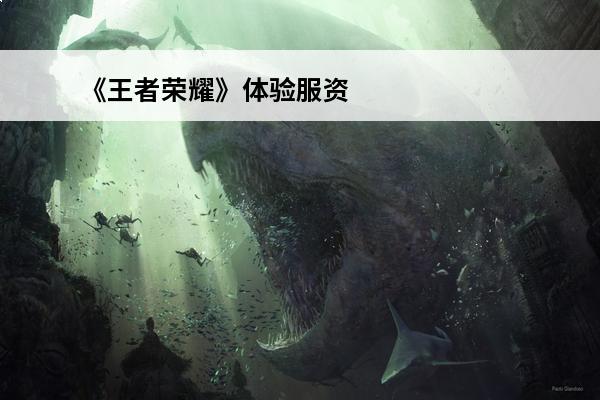 《王者荣耀》体验服资