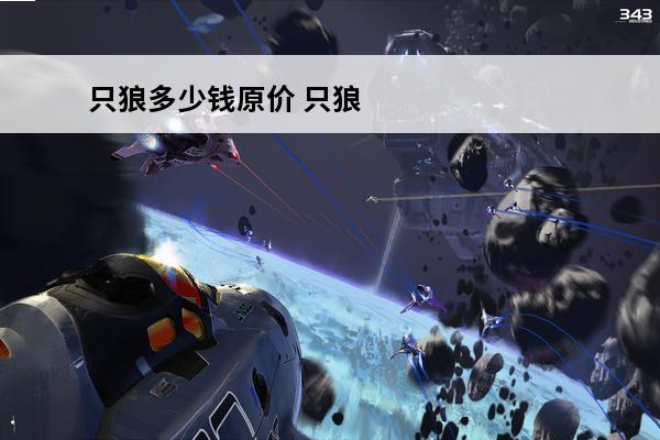 只狼多少钱原价 只狼多少钱介绍_只狼多少钱是什么