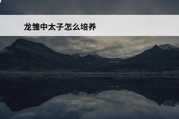 龙雏中太子怎么培养 