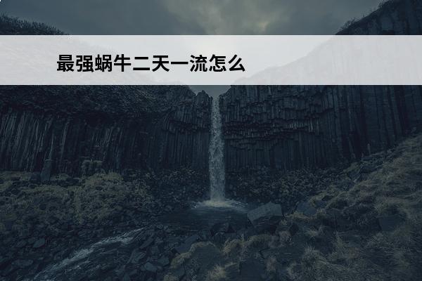 最强蜗牛二天一流怎么获取二天一流获取方法介绍(最强蜗牛二天一流怎么获得)