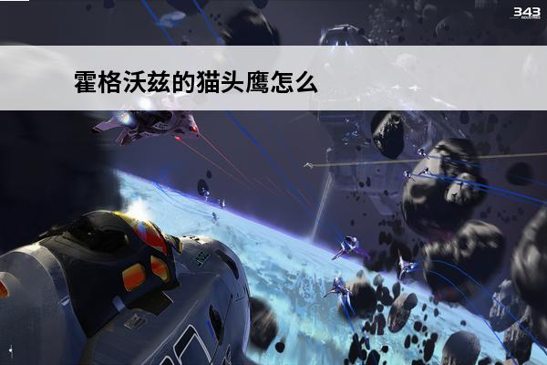 霍格沃兹的猫头鹰怎么找到你家？(霍格沃兹猫头鹰种类)