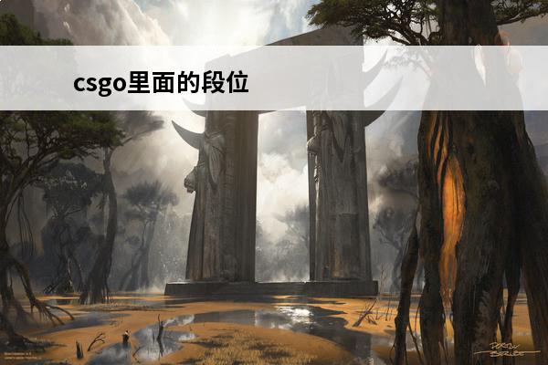 csgo里面的段位 CSGO里面的箱子可以卖吗？