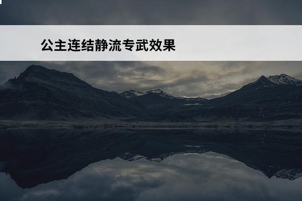 公主连结静流专武效果(公主连结静流专武有用吗)