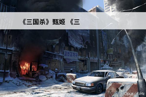 《三国杀》甄姬 《三