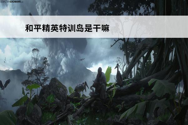 和平精英特训岛是干嘛