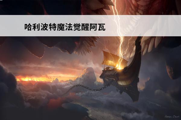 哈利波特魔法觉醒阿瓦