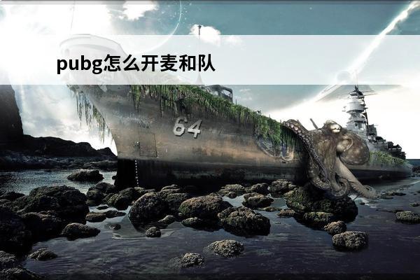pubg怎么开麦和队
