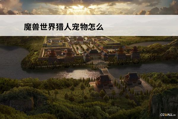 魔兽世界猎人宠物怎么丢弃魔兽世界猎人宠物推荐(魔兽世界猎人宠物机制)