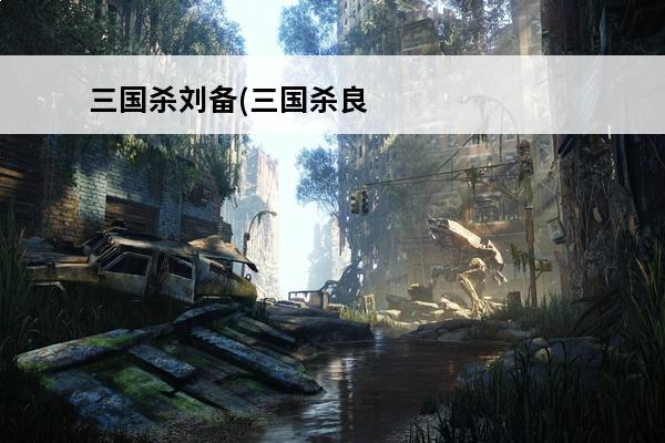 三国杀刘备(三国杀良能)介绍_三国杀刘备(三国杀良能)是什么(三国杀神刘备玩法)