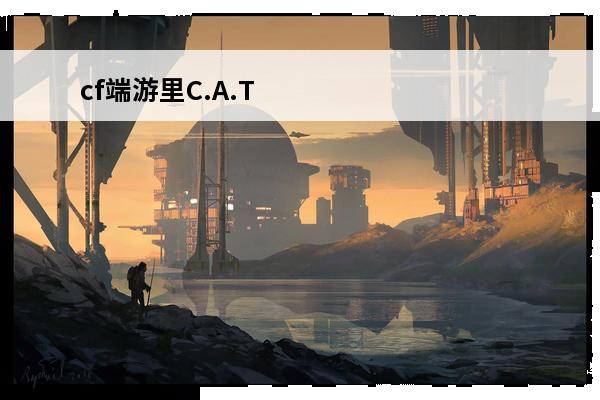 cf端游里C.A.T-刀锋是什么枪啊？(cf端游刀锋)