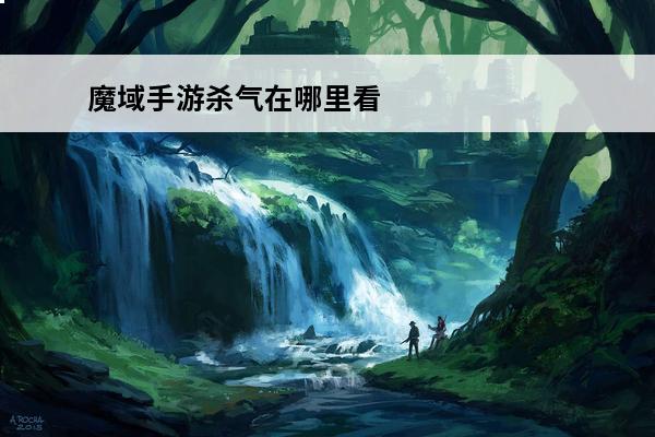 魔域手游杀气在哪里看