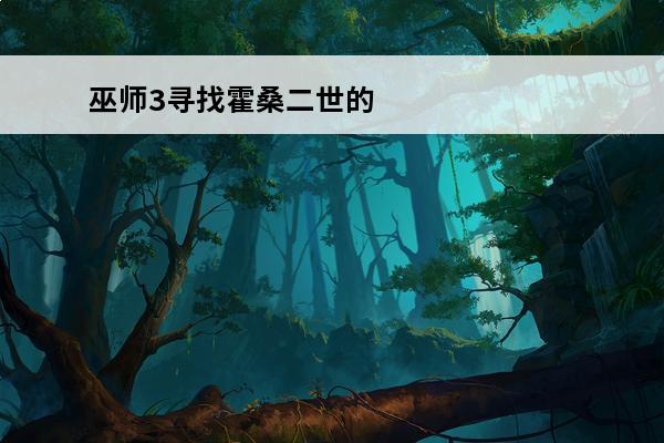 巫师3寻找霍桑二世的
