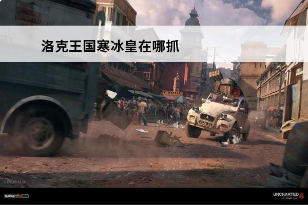 洛克王国寒冰皇在哪抓
