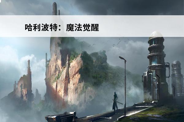 哈利波特：魔法觉醒 