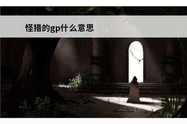 怪猎的gp什么意思 