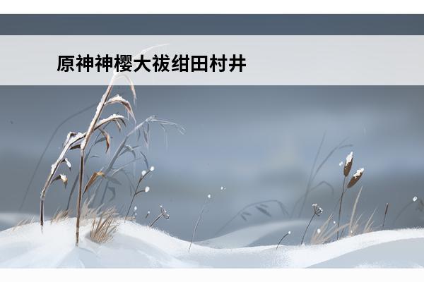 原神神樱大祓绀田村井