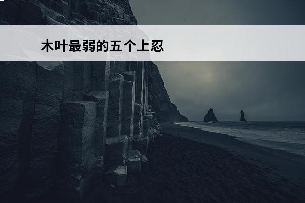 木叶最弱的五个上忍 