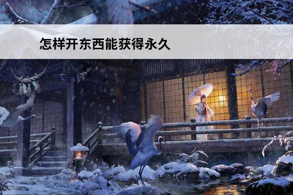 怎样开东西能获得永久