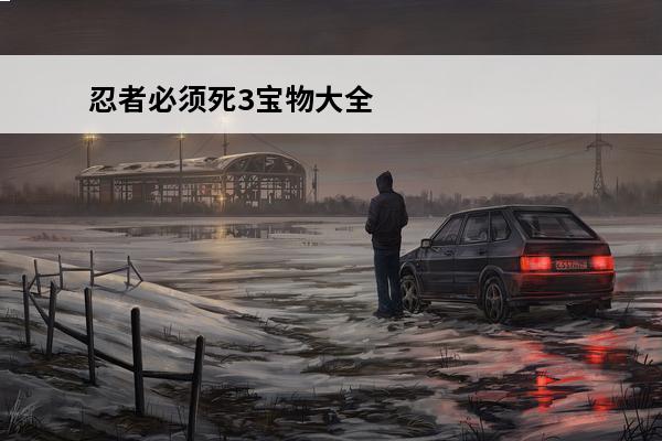 忍者必须死3宝物大全
