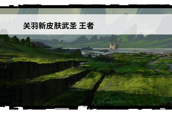 关羽新皮肤武圣 王者
