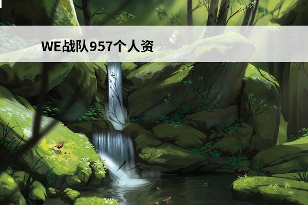 WE战队957个人资