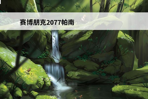赛博朋克2077帕南