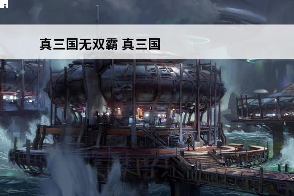 真三国无双霸 真三国
