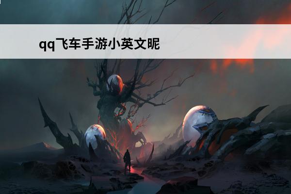 qq飞车手游小英文昵