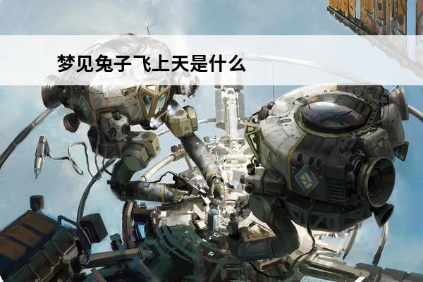 梦见兔子飞上天是什么预兆(飞上天的兔子)