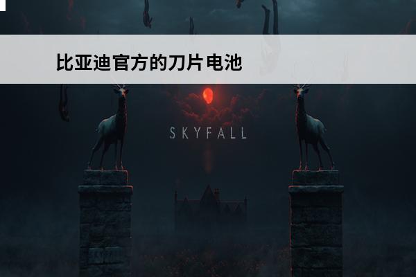 比亚迪官方的刀片电池