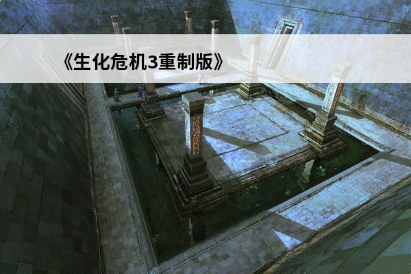 《生化危机3重制版》