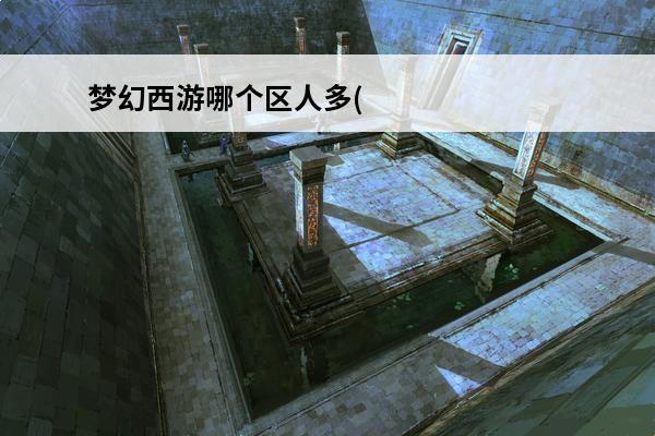 梦幻西游哪个区人多(