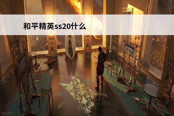 和平精英ss20什么