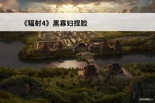 《辐射4》黑寡妇捏脸数据分享 黑寡妇捏脸存档(辐射4捏脸数据怎么用)