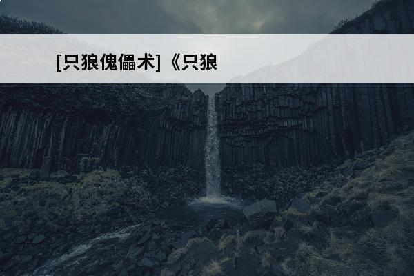 [只狼傀儡术]《只狼