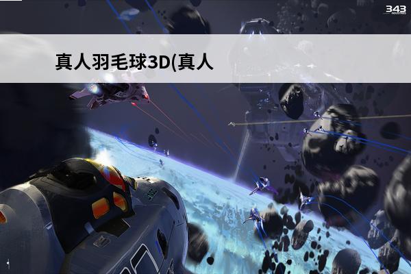 真人羽毛球3D(真人羽毛球游戏单机版)
