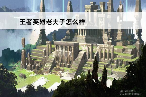 王者英雄老夫子怎么样