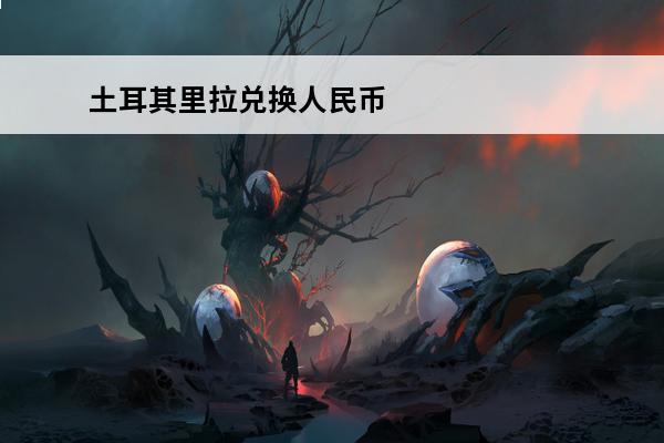 土耳其里拉兑换人民币(里拉为什么比人民币值钱)