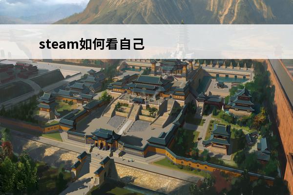 steam如何看自己上架的物品？(steam如何看)