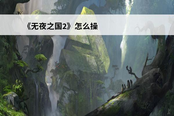 《无夜之国2》怎么操